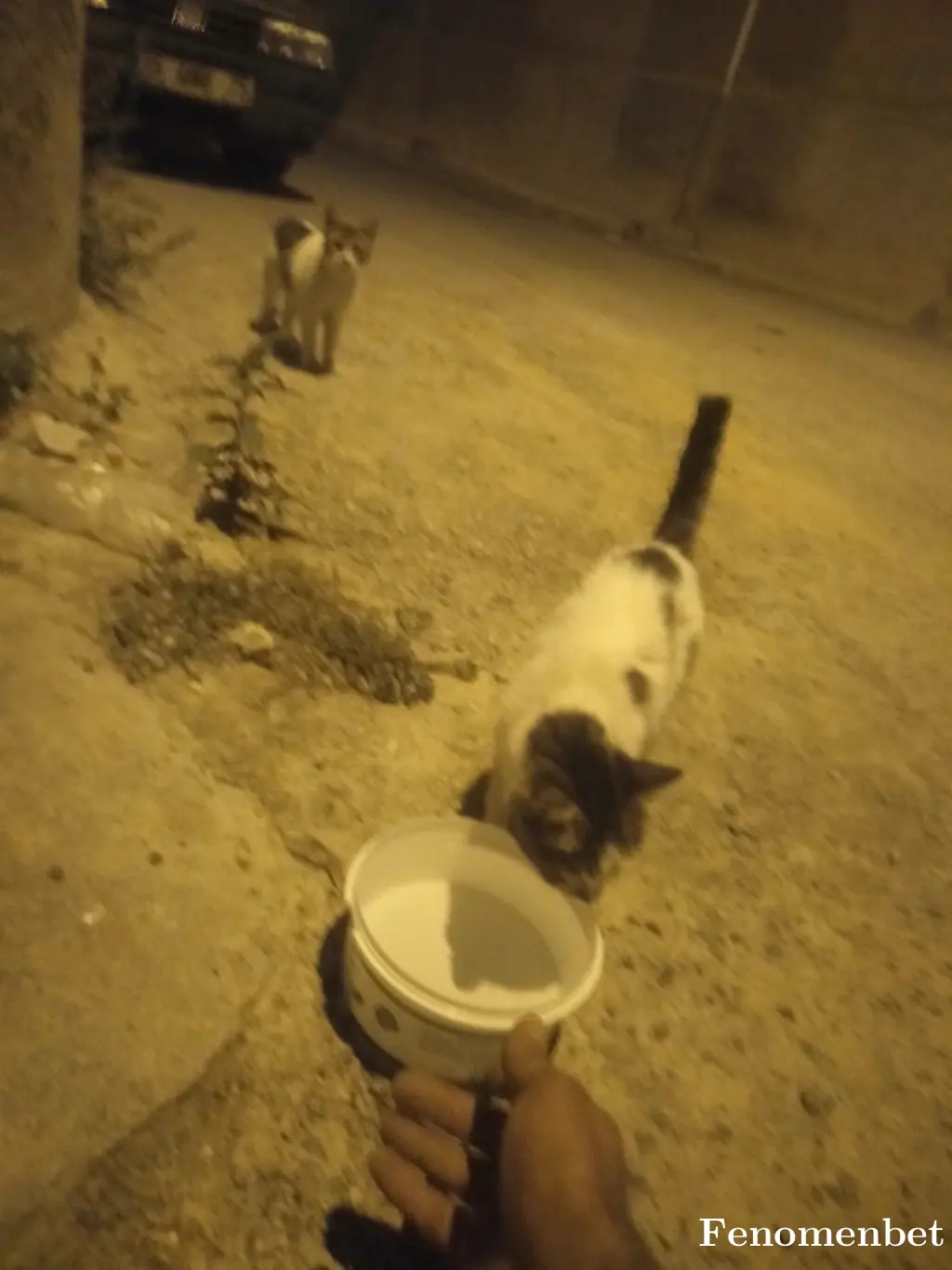 Drnymn tarafından paylaşılan fotoğraf