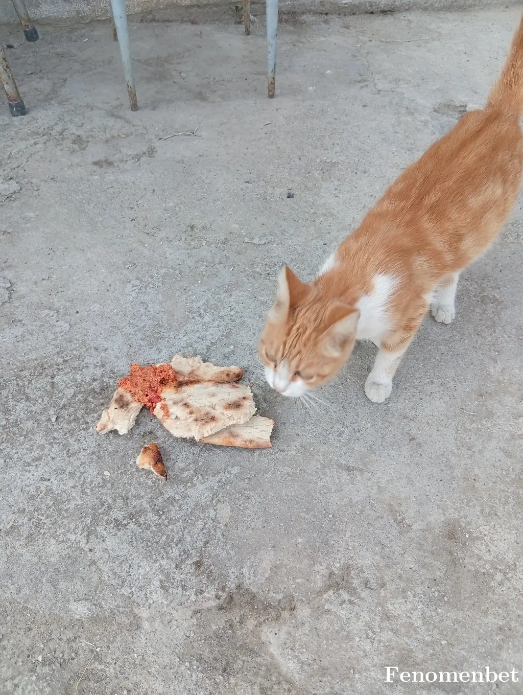 canyarim tarafından paylaşılan fotoğraf