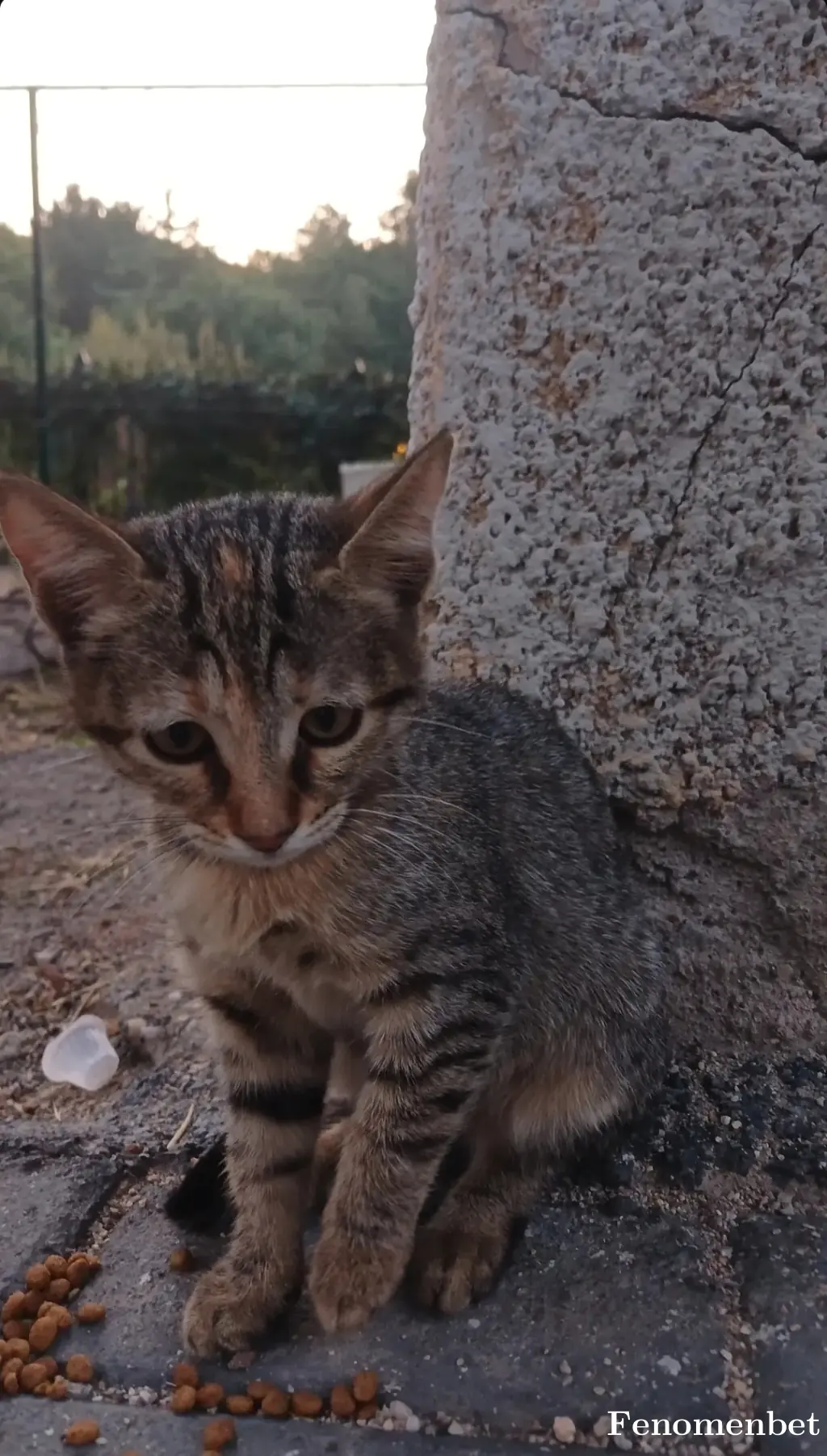 Mami24455 tarafından paylaşılan fotoğraf