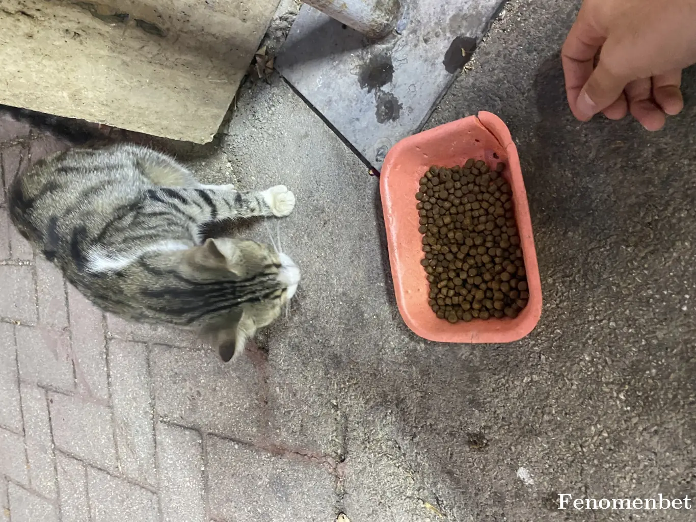 Cenabetfuat tarafından paylaşılan fotoğraf