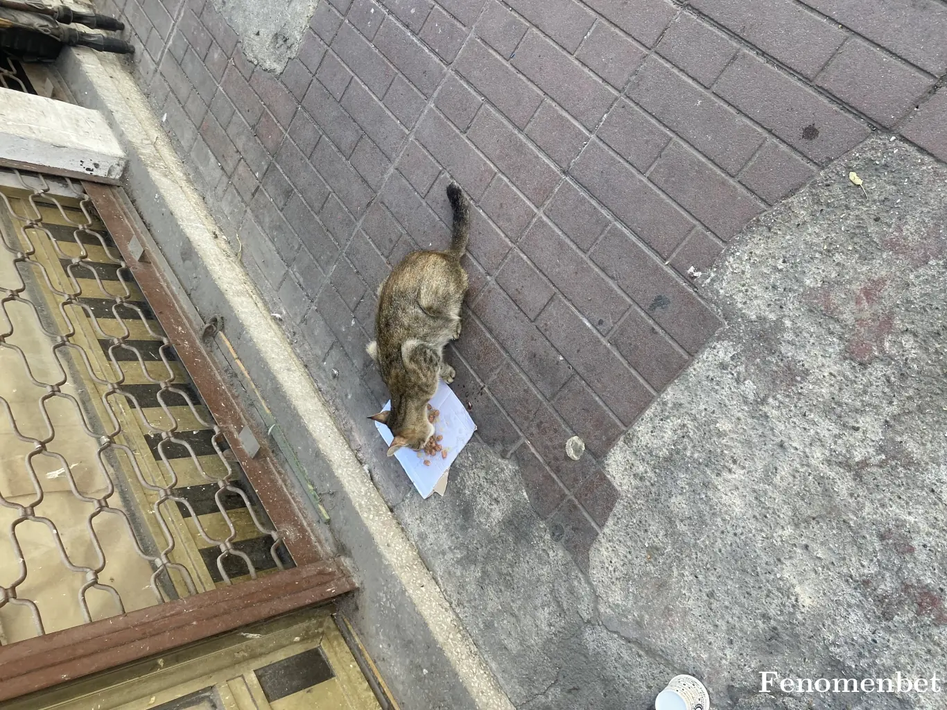 Kartal tarafından paylaşılan fotoğraf