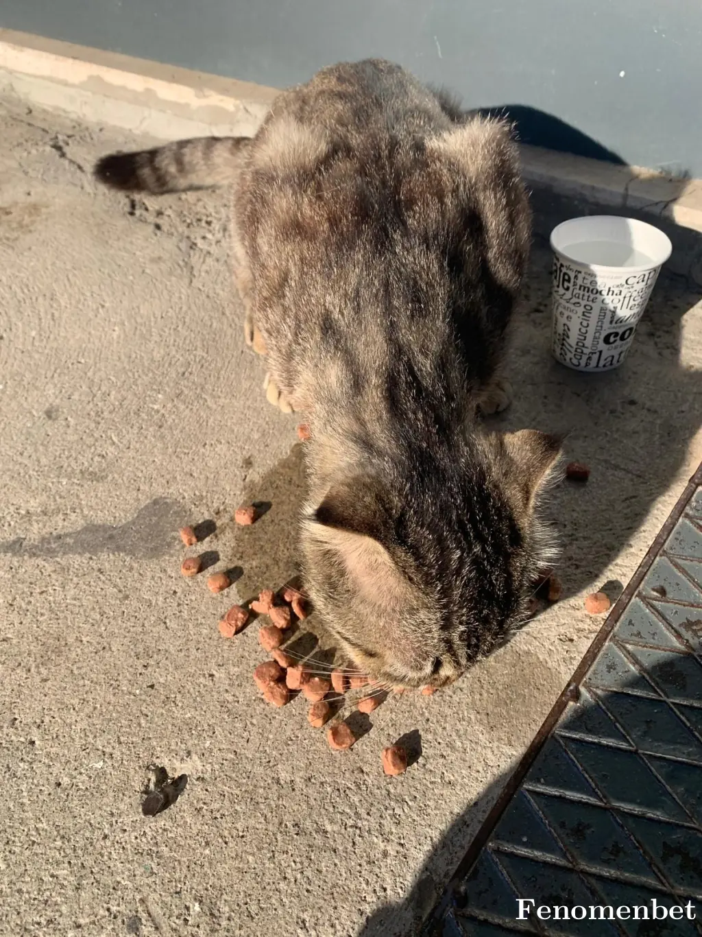 Ferdili52 tarafından paylaşılan fotoğraf