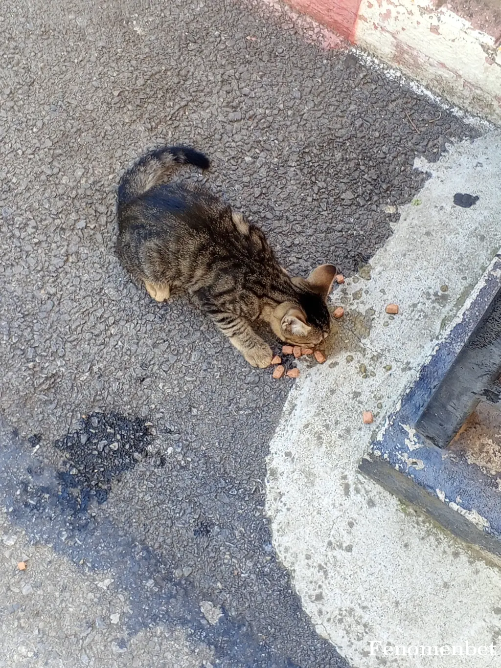 oguzhanhoca  tarafından paylaşılan fotoğraf
