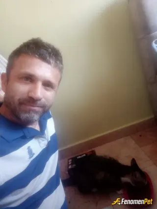 Sokak hayvanı besleme: 10 senedir evimde besliyorum