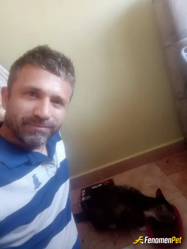 Sokak hayvanı besleme: 10 senedir evimde besliyorum
