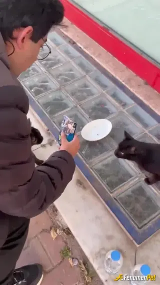 Sokak hayvanı besleme: Okulumun yanindaki marketin yaninda 2 sokak kedisi besledim ogrenciyiz biz yiyemiyoz 😄😄